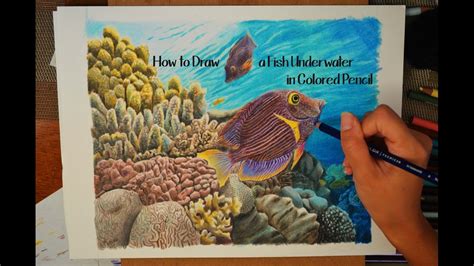 how to draw underwater animals|Mastering Realistic Underwater Scenes: A Guide to Drawing .